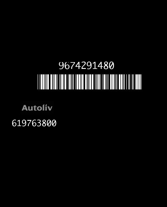 AUTOLIV 619763800 PEUGEOT 308 9674291480 AD EEPROM 95320