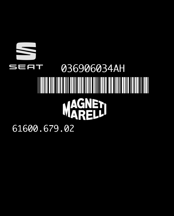 MAGNETI MARELLI IAW 4MV.AH 61600.679.02 SEAT CORDOBA II IBIZA III 1.4i 75HP 036906034AH 4461