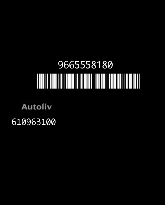 AUTOLIV 610963100 CITROEN C5 9665558180 AA EEPROM 95320