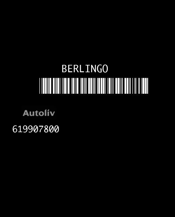 AUTOLIV 619907800 CITROEN BERLINGO PEUGEOT PARTNER 9673393680 AA EEPROM 25320