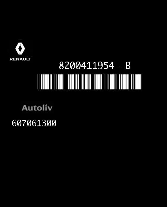 AUTOLIV ACU4 607061300 RENAULT SCENIC II 8200411954--B EEPROM 95160