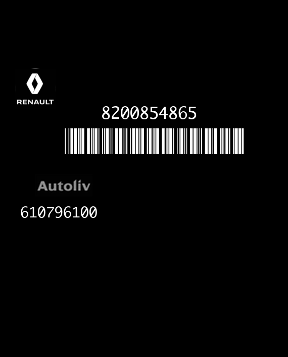AUTOLIV RC5 P1P2 610796100 RENAULT MODUS I  8200854865 AC EEPROM 95640