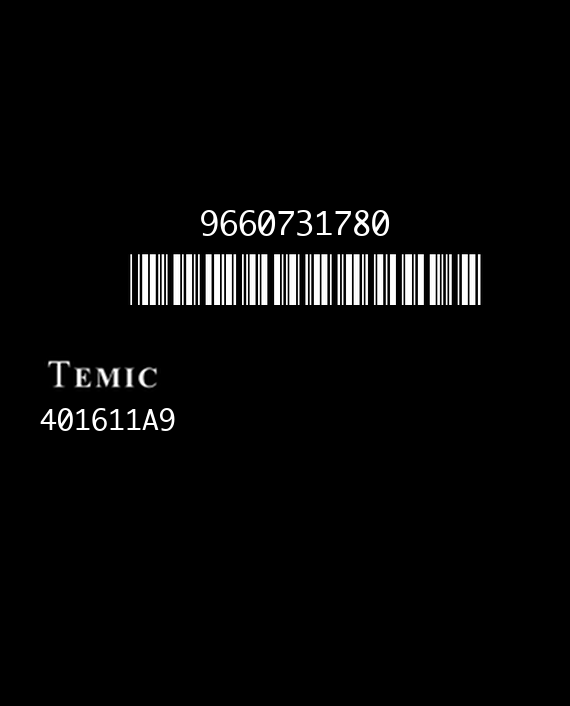 TEMIC 401611A9 CITROEN C3 I 9660731780 EEPROM 95160