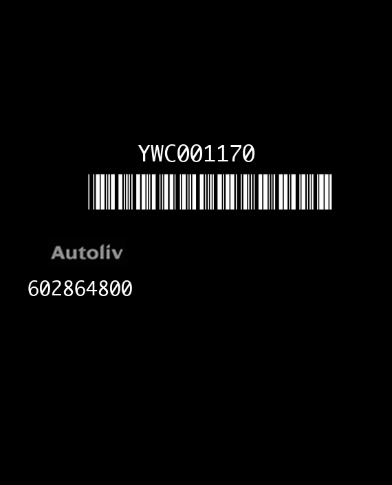AUTOLIV 602864800 ROVER 45 YWC001170 AF EEPROM 95080