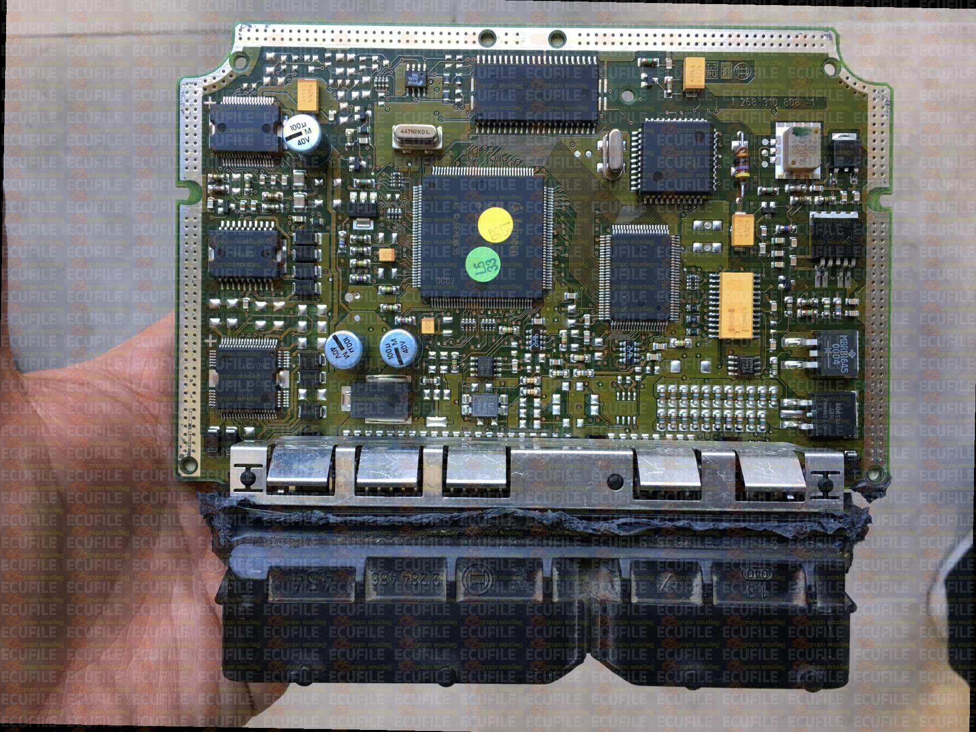 BOSCH EDC15VM+2.V1 0281010109 VOLSKWAGEN POLO 1.9 SDI 64HP 038906012AR 1037350846