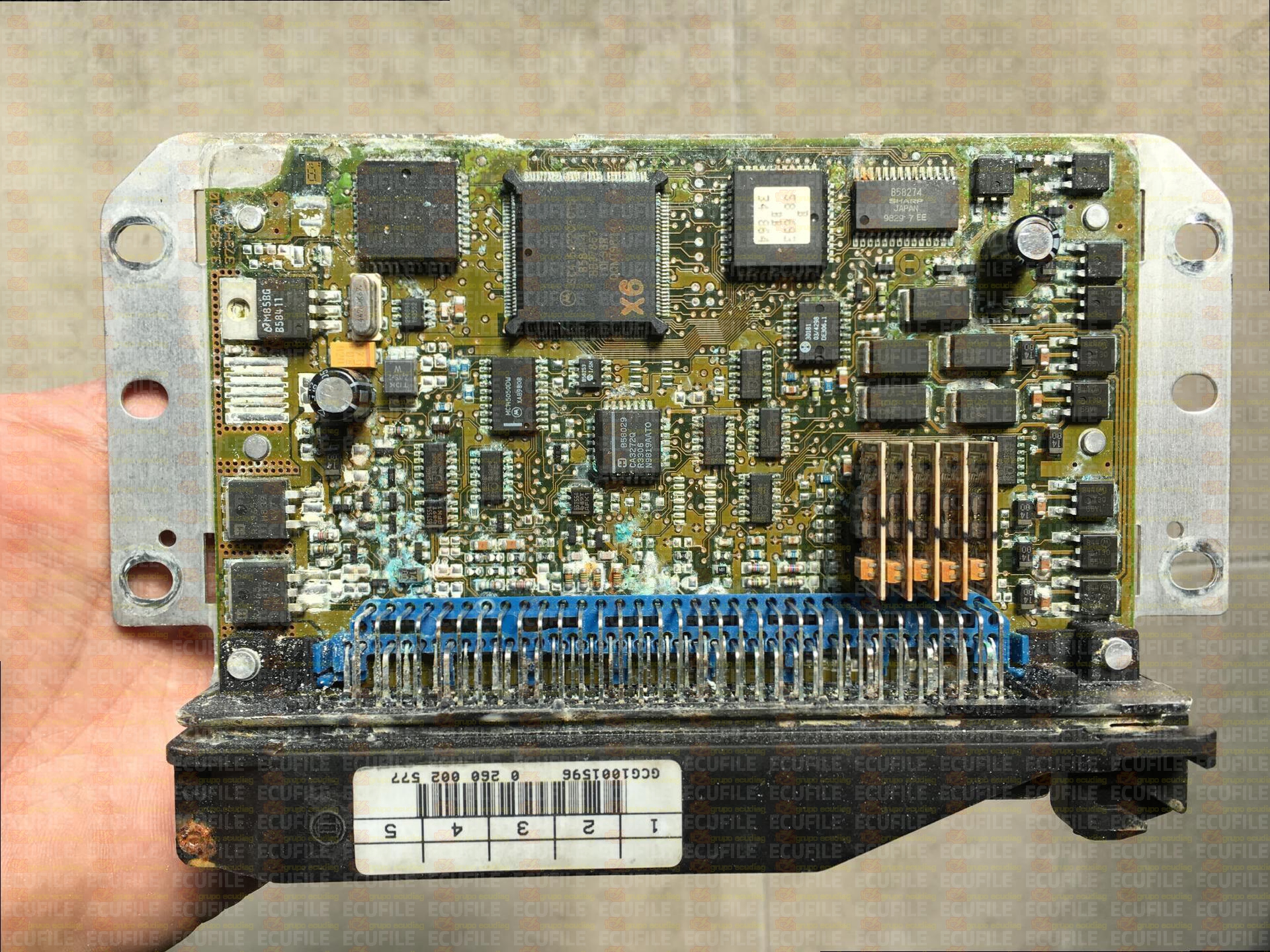 BOSCH GS8.53.3 0260002577 AUDI S8 4D0927156BL