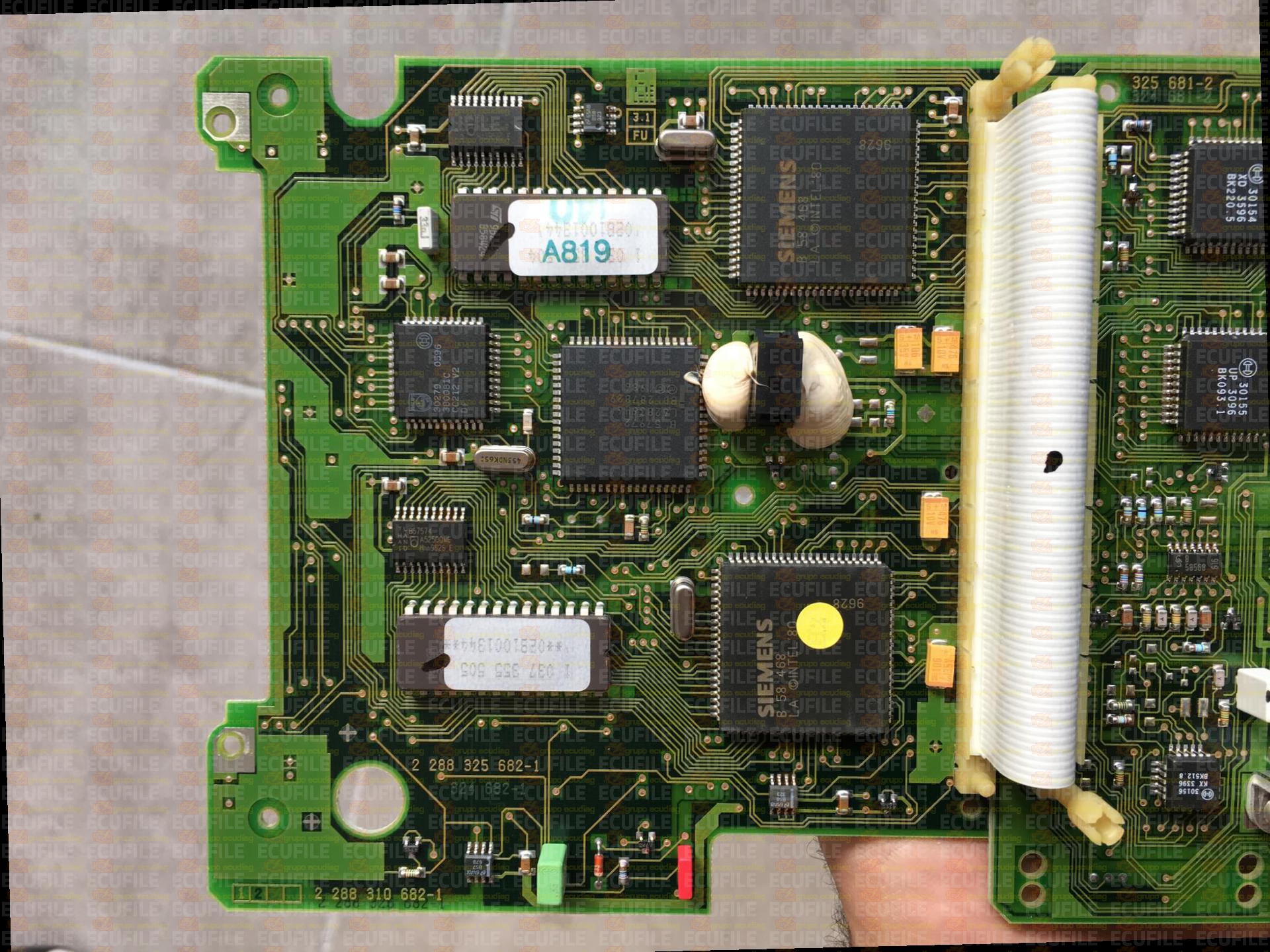 BOSCH EDC1.3.3 MSA12-6.5 0281001343-344 VOLKSWAGEN GOLF III 1.9 SDI 64HP 028906021BP 1037355505-1037355504